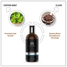 Load image into Gallery viewer, Charcoal Shampoo | Peppermint &amp; Clove
